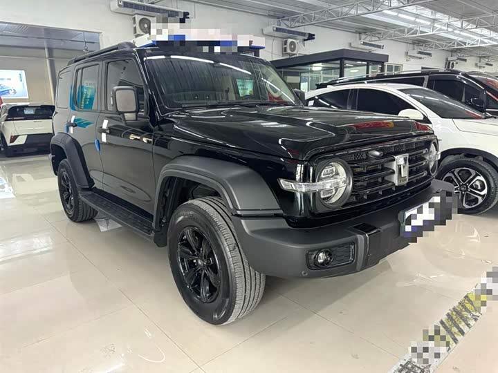 Фото 3 - Tank 300