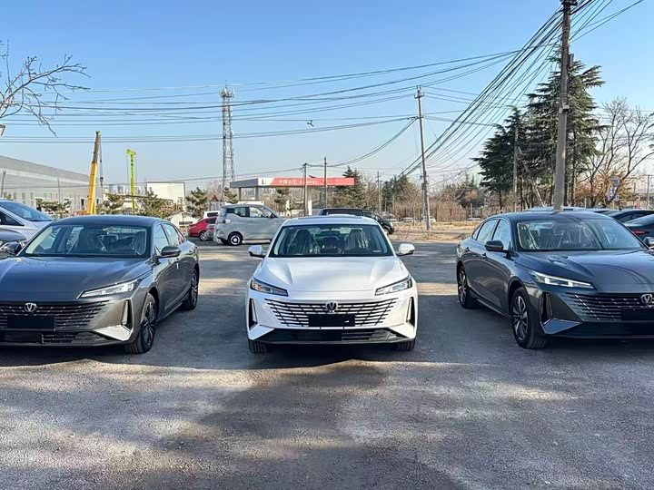 Фото 5 - Changan Eado EV