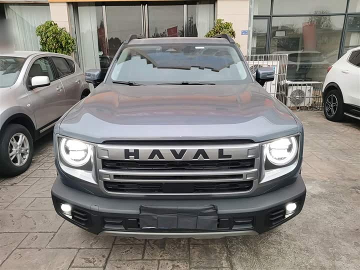 Фото 3 - Haval Dargo
