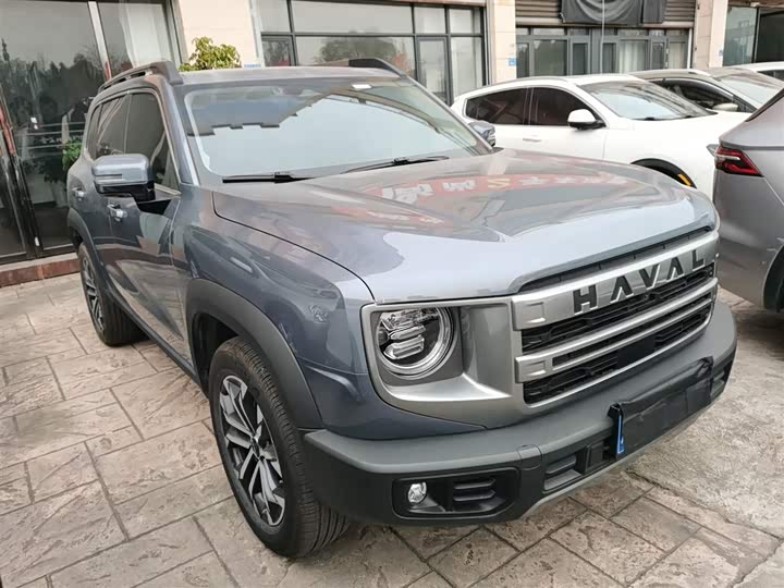 Фото 4 - Haval Dargo