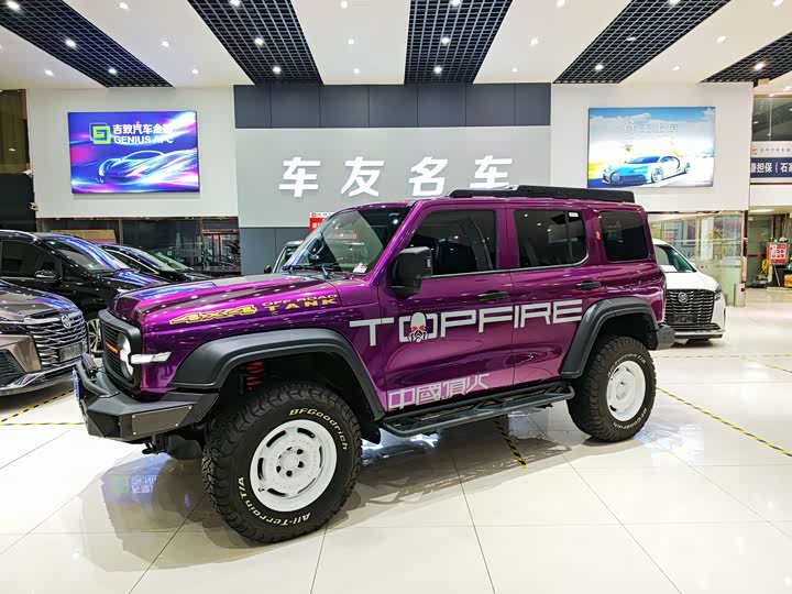 Фото 2 - Tank 300