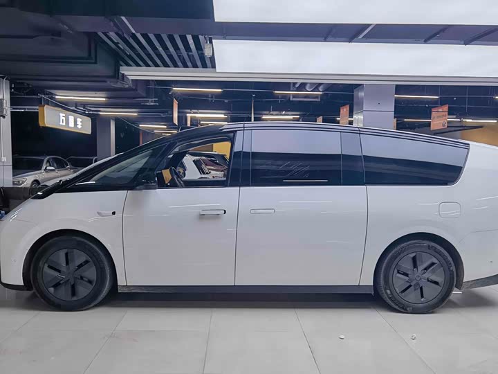 Фото 3 - LiXiang Mega