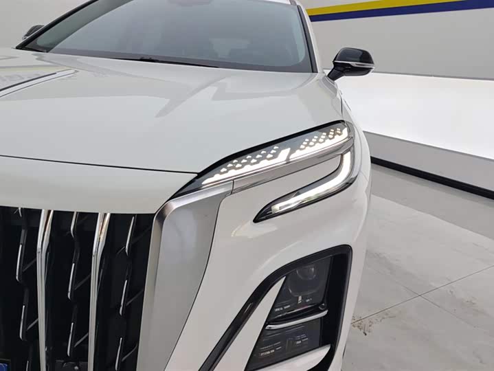 Фото 5 - Hongqi HS3