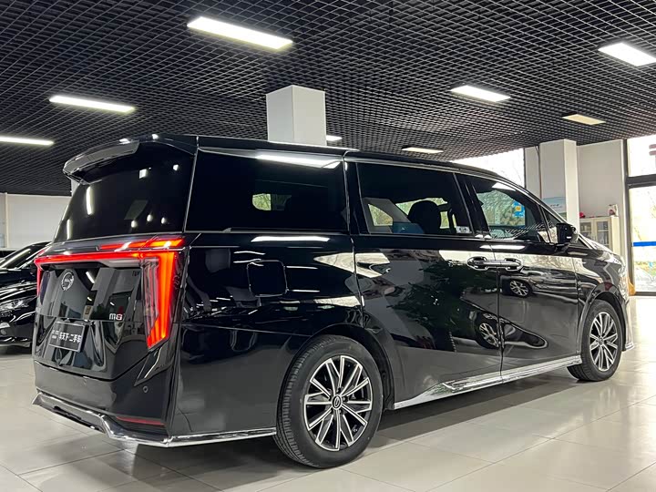 Фото 6 - GAC Trumpchi M8