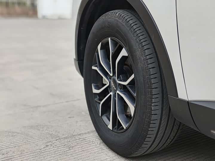 Фото 4 - Haval H6