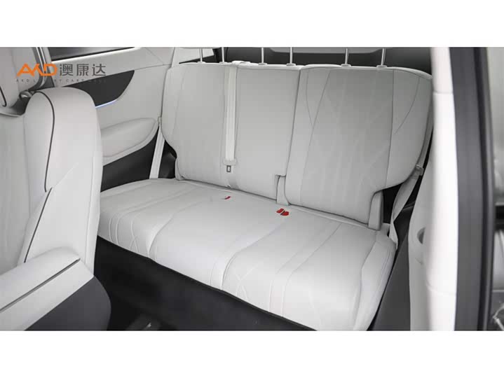 Фото 9 - XPeng X9