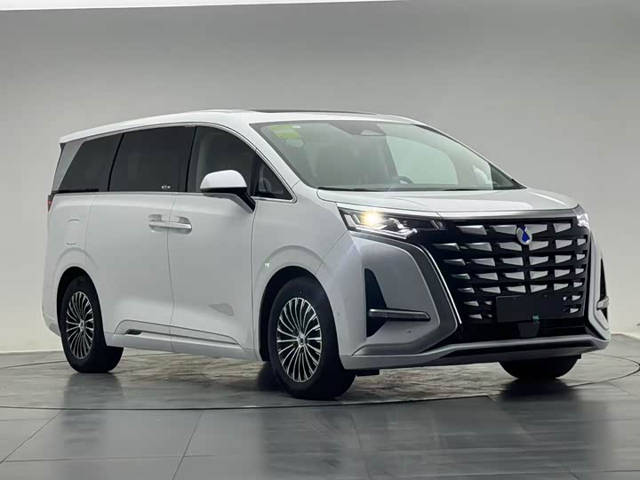 Фото 1 - Denza D9