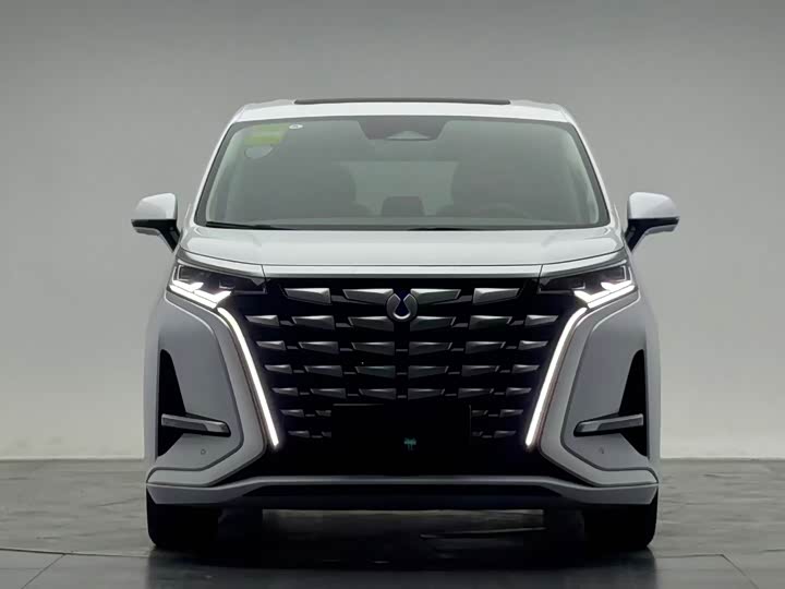 Фото 2 - Denza D9