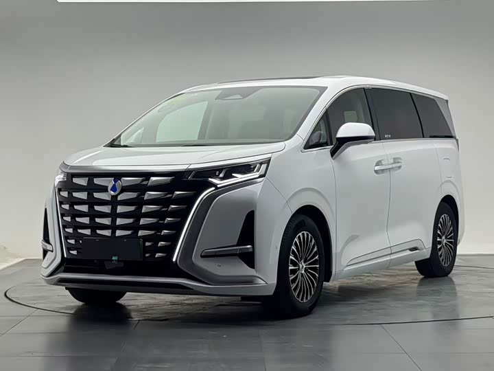 Фото 3 - Denza D9