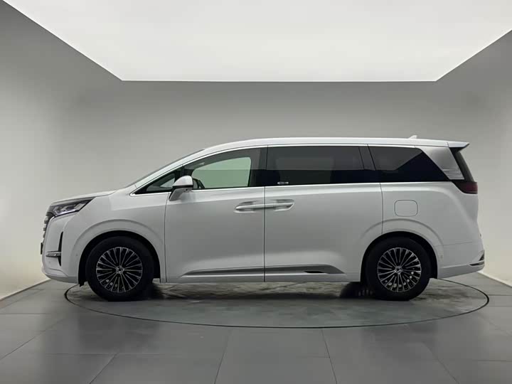 Фото 4 - Denza D9