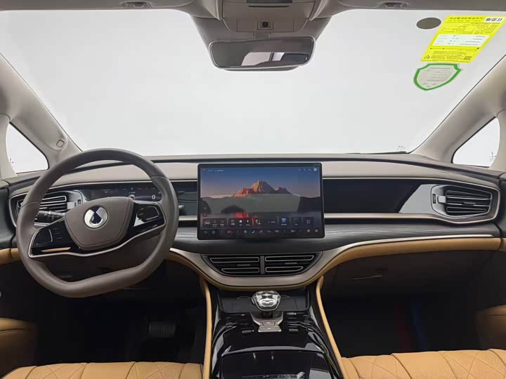 Фото 6 - Denza D9