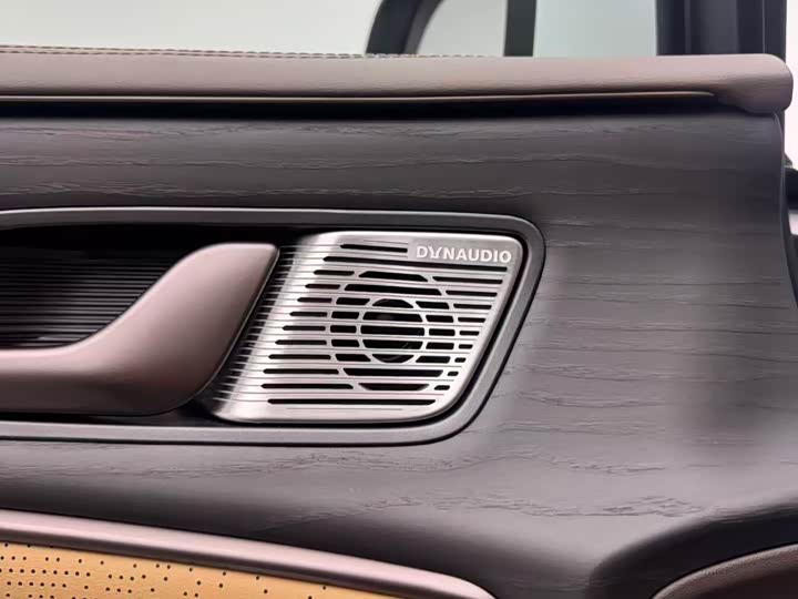 Фото 7 - Denza D9