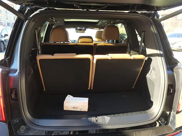 Фото 9 - GAC Trumpchi ES9