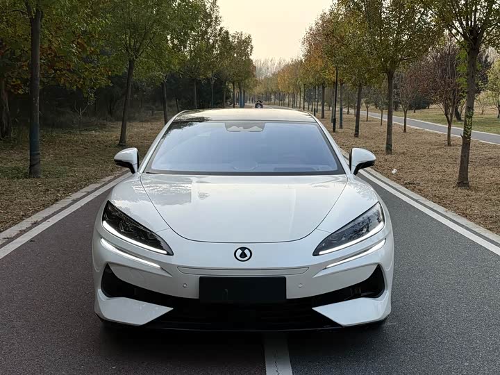 Фото 2 - Denza Z9GT