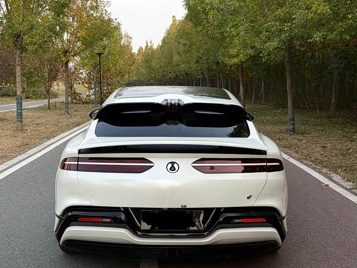 Фото 5 - Denza Z9GT