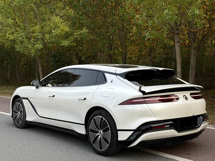 Фото 6 - Denza Z9GT