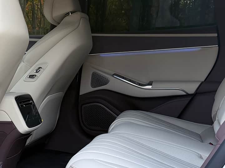 Фото 9 - Denza Z9GT