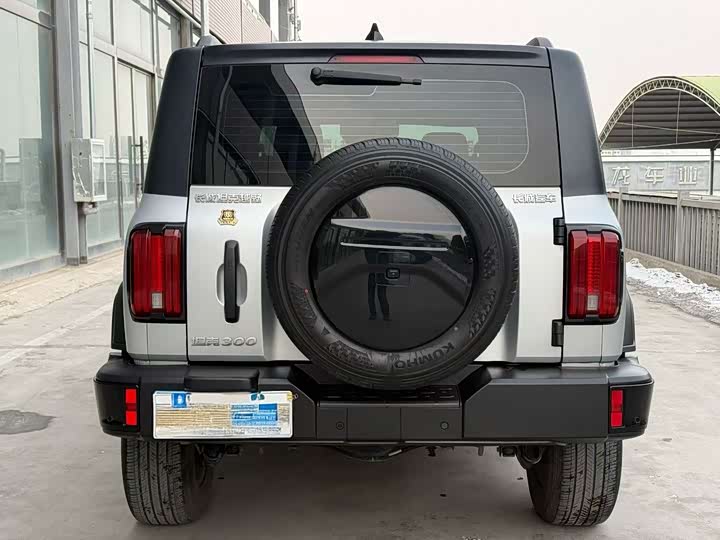 Фото 5 - Tank 300