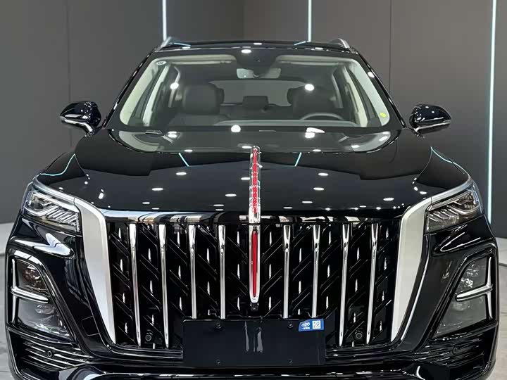 Фото 2 - Hongqi HS5
