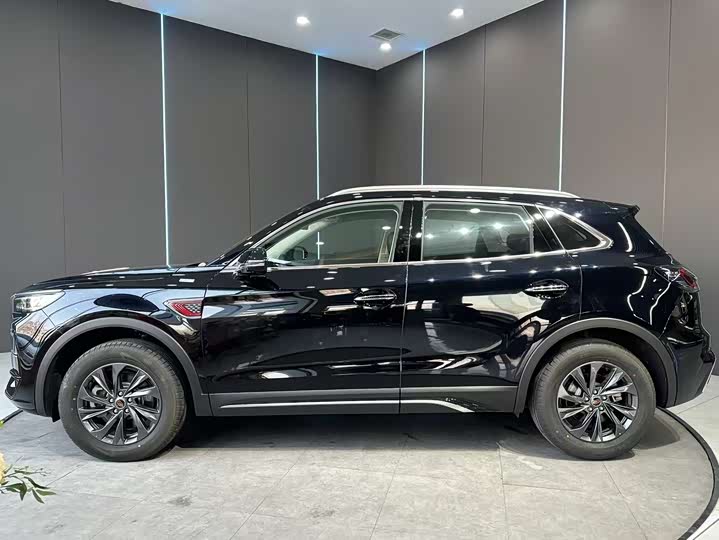 Фото 4 - Hongqi HS5