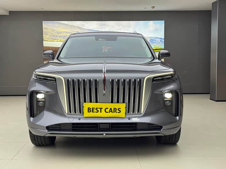 Фото 2 - Hongqi E-HS9