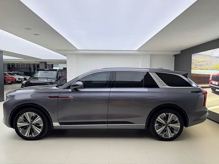 Фото 4 - Hongqi E-HS9