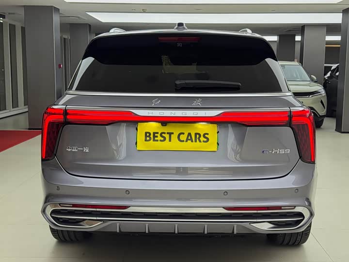 Фото 5 - Hongqi E-HS9