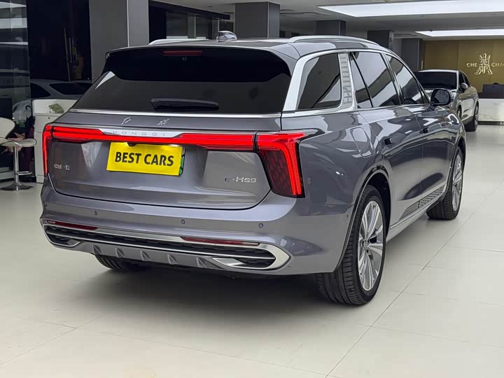 Фото 7 - Hongqi E-HS9