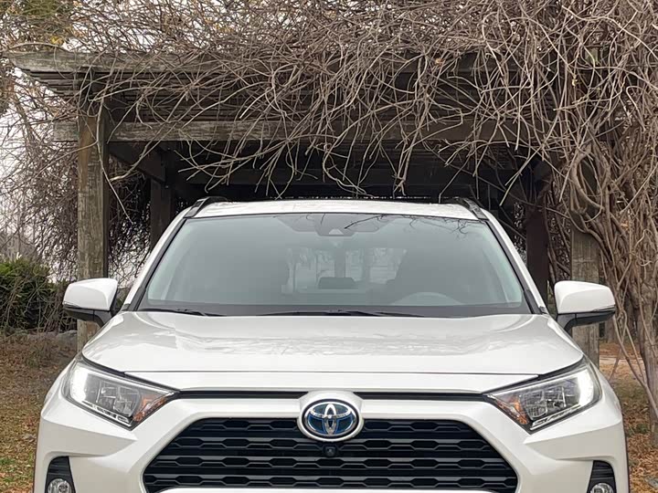 Фото 1 - Toyota RAV4