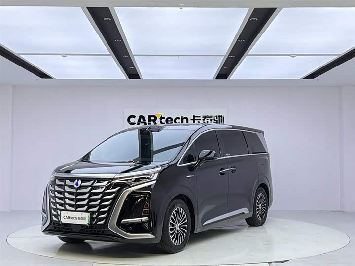 Фото 1 - Denza D9