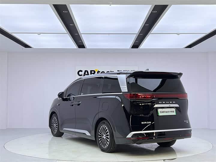 Фото 3 - Denza D9