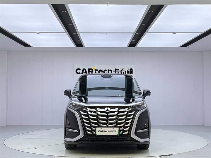 Фото 8 - Denza D9