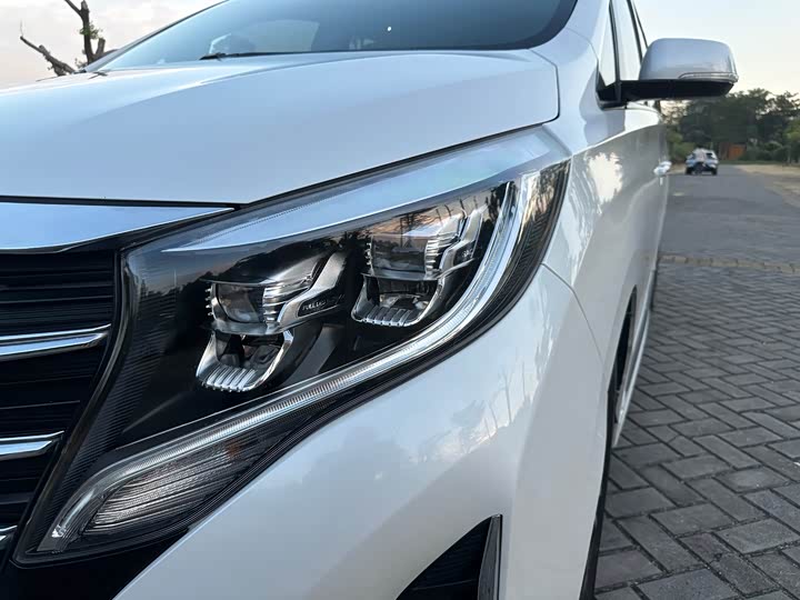 Фото 9 - GAC Trumpchi M8