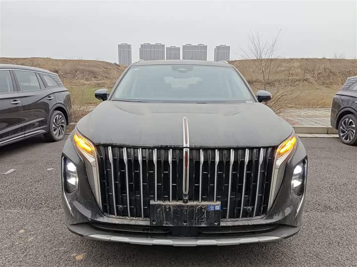 Фото 3 - Hongqi HS7 Hybrid