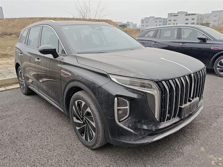 Фото 4 - Hongqi HS7 Hybrid