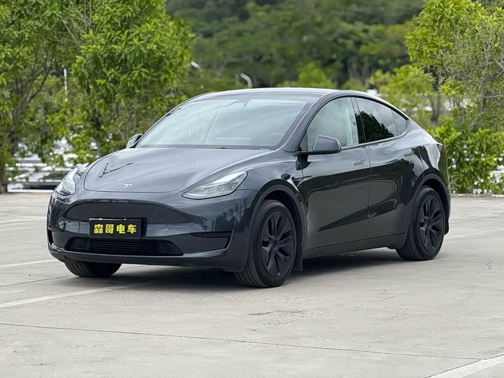 Фото 1 - Tesla Model Y