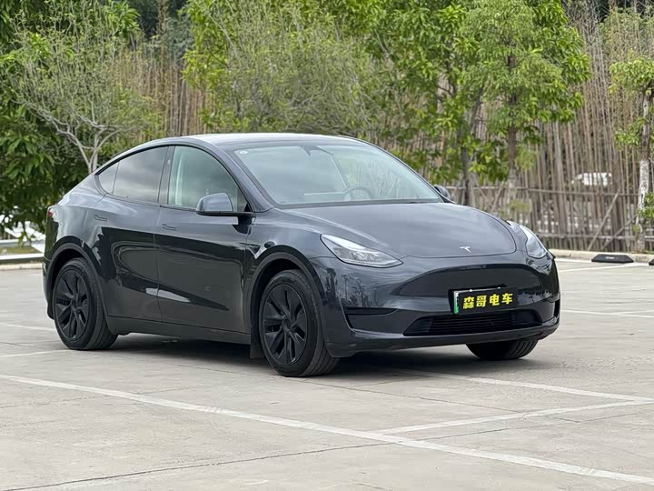 Фото 2 - Tesla Model Y
