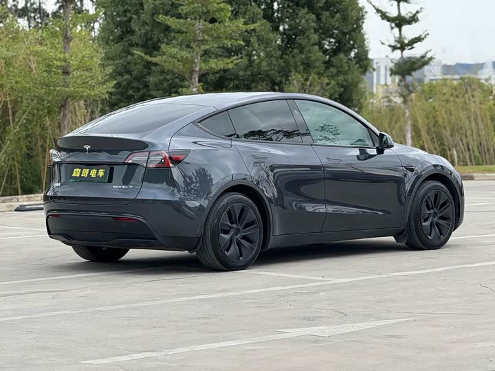 Фото 4 - Tesla Model Y