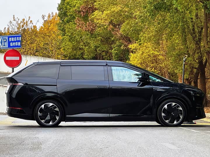 Фото 2 - XPeng X9