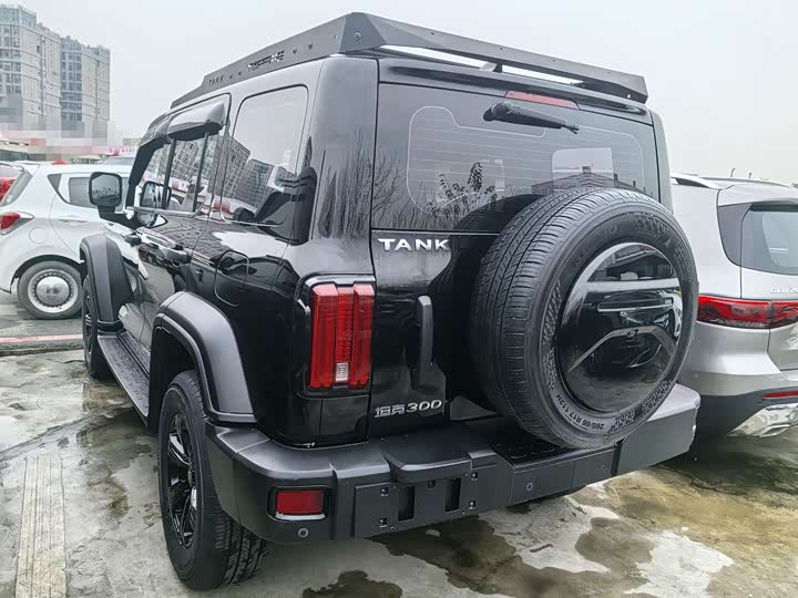 Фото 3 - Tank 300