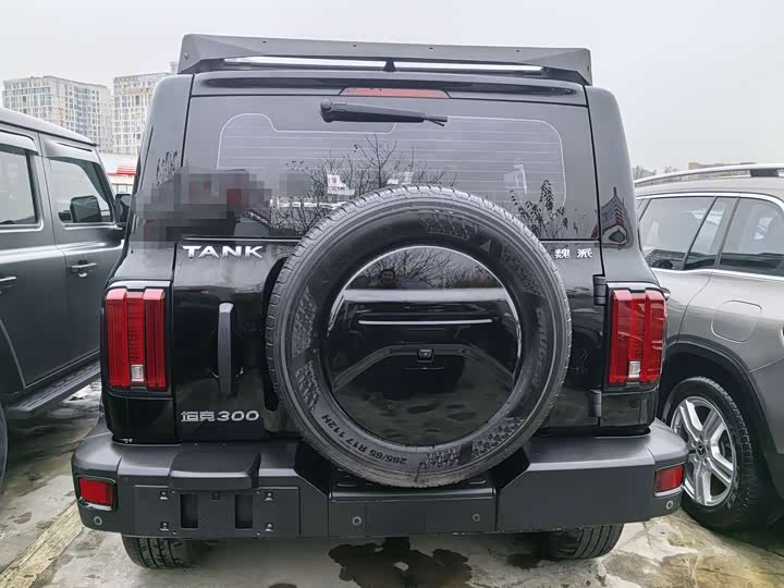 Фото 4 - Tank 300