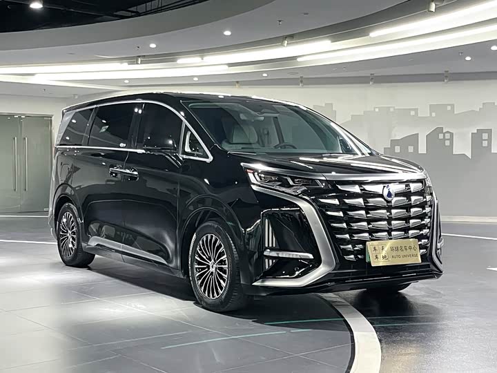 Фото 3 - Denza D9