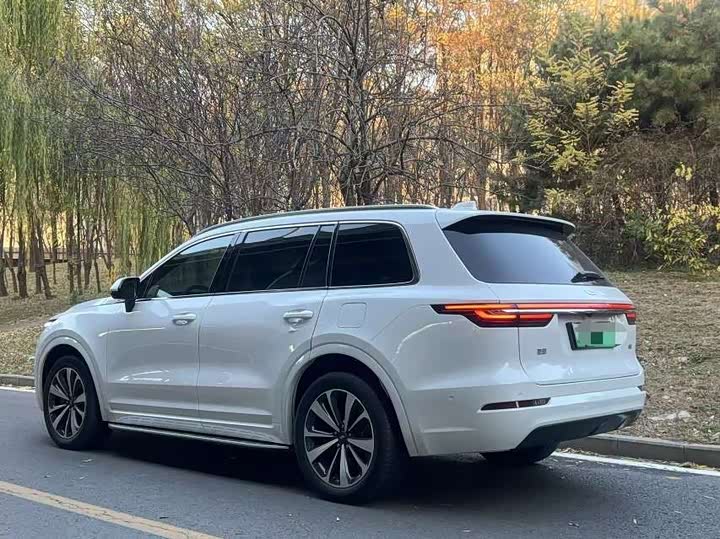 Фото 3 - LiXiang One