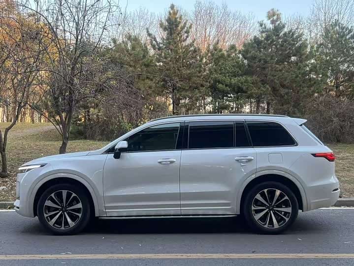 Фото 5 - LiXiang One