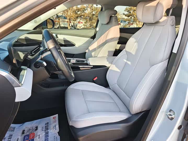 Фото 5 - Buick Electra E5