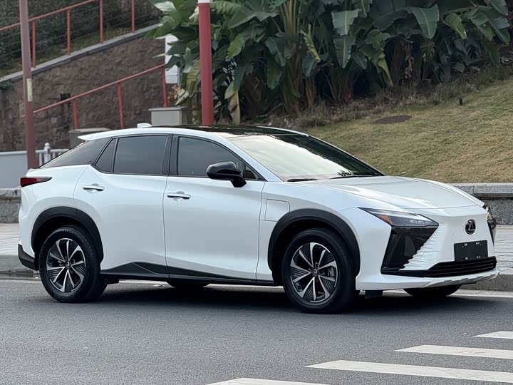 Фото 3 - Lexus RZ