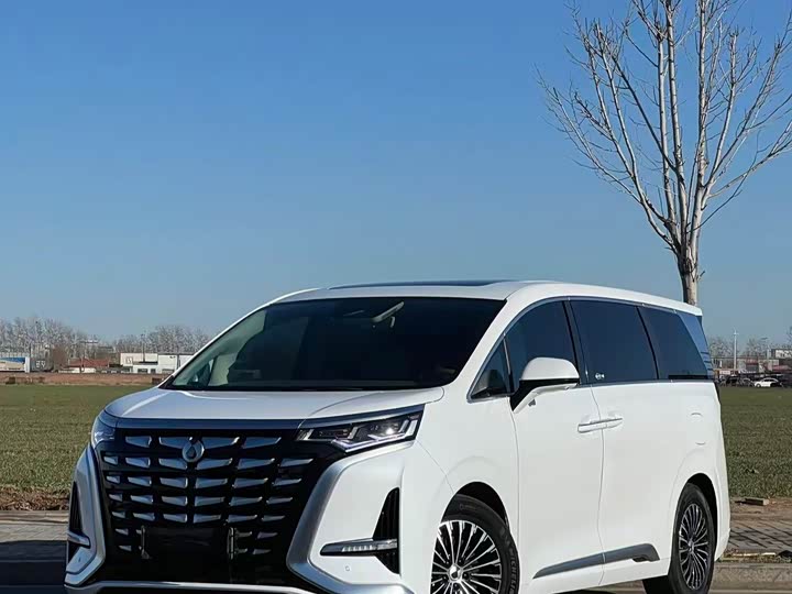 Фото 1 - Denza D9