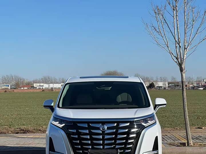 Фото 2 - Denza D9