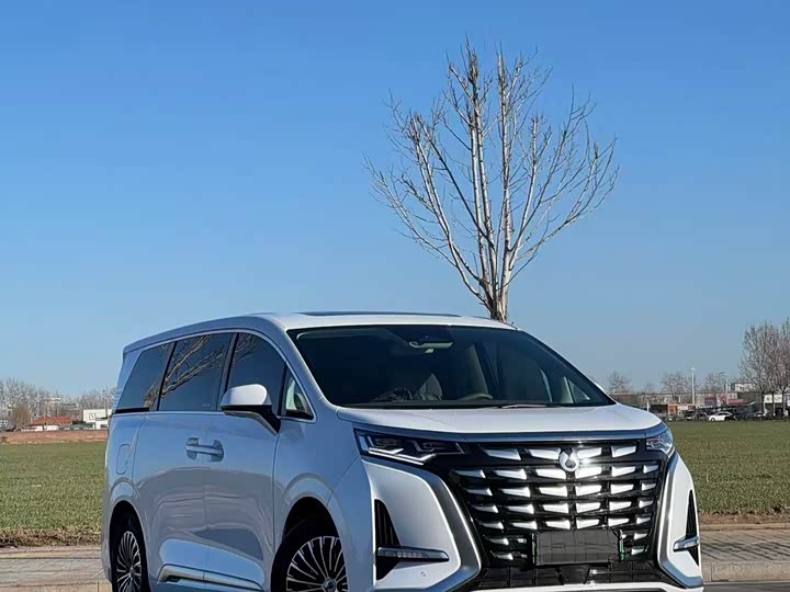 Фото 3 - Denza D9