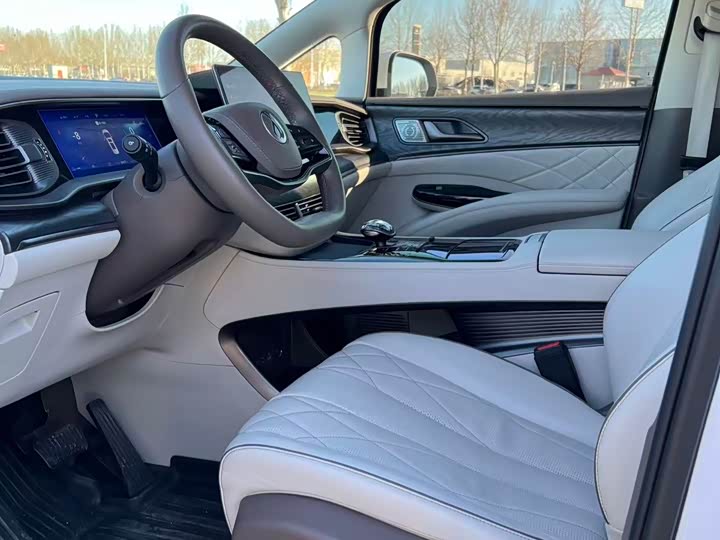 Фото 4 - Denza D9